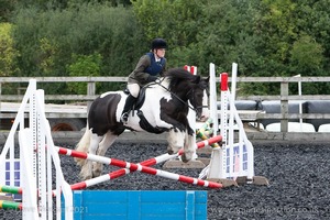 Class 2 -  Fences not above 2'